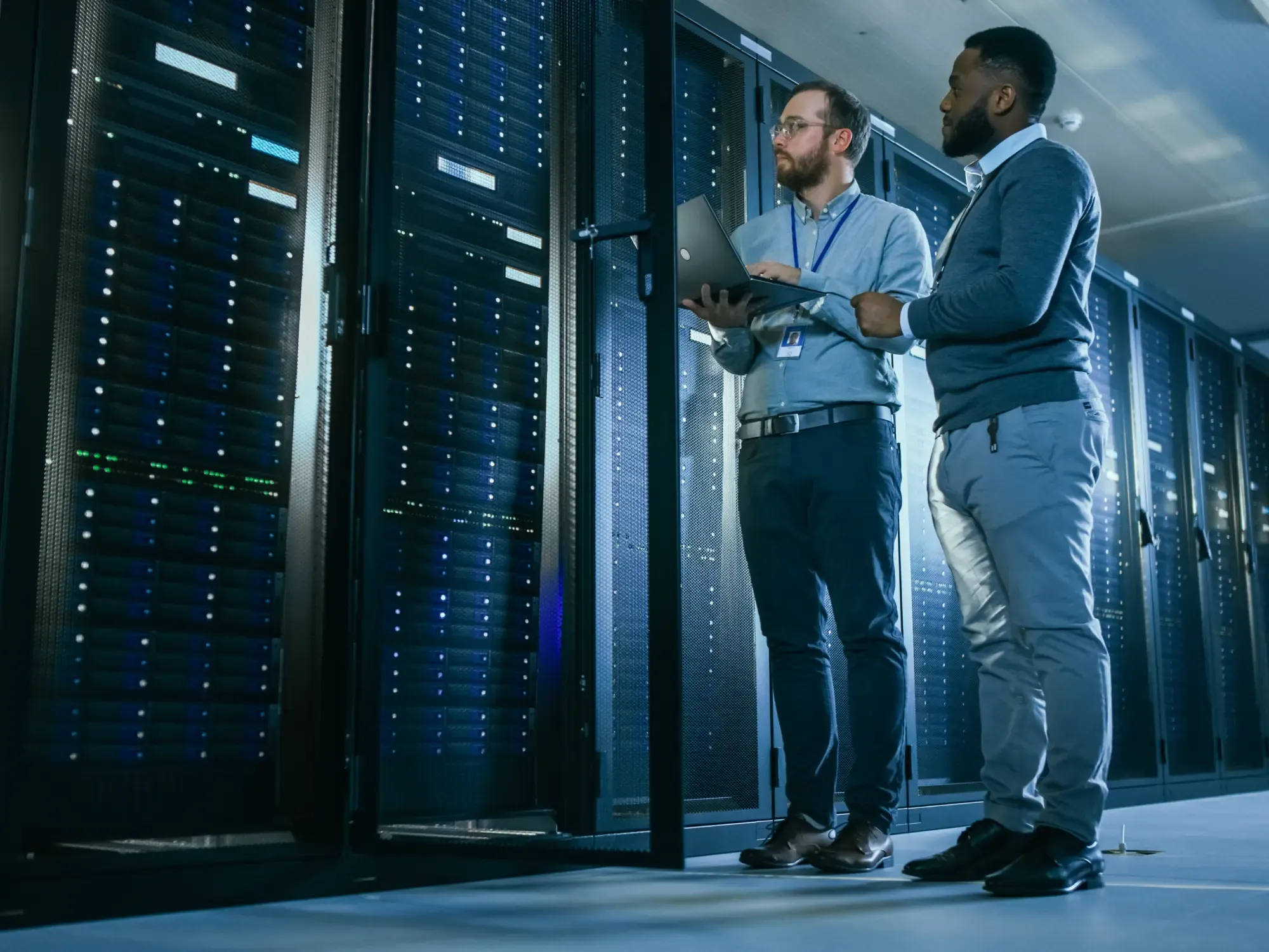 Software-Wartung und -Supportleistungen